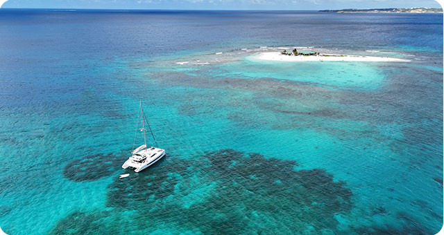 Les grenadines