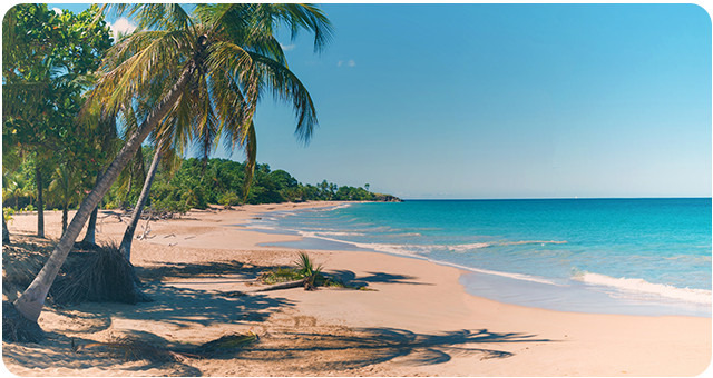 Guadeloupe et Dominique
