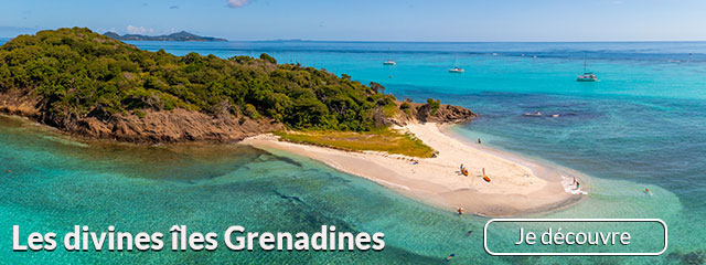 Grenadines  