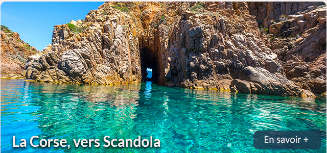 L'emblème des Seychelles