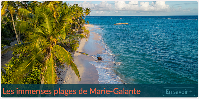 Les immenses plages de Marie-Galante